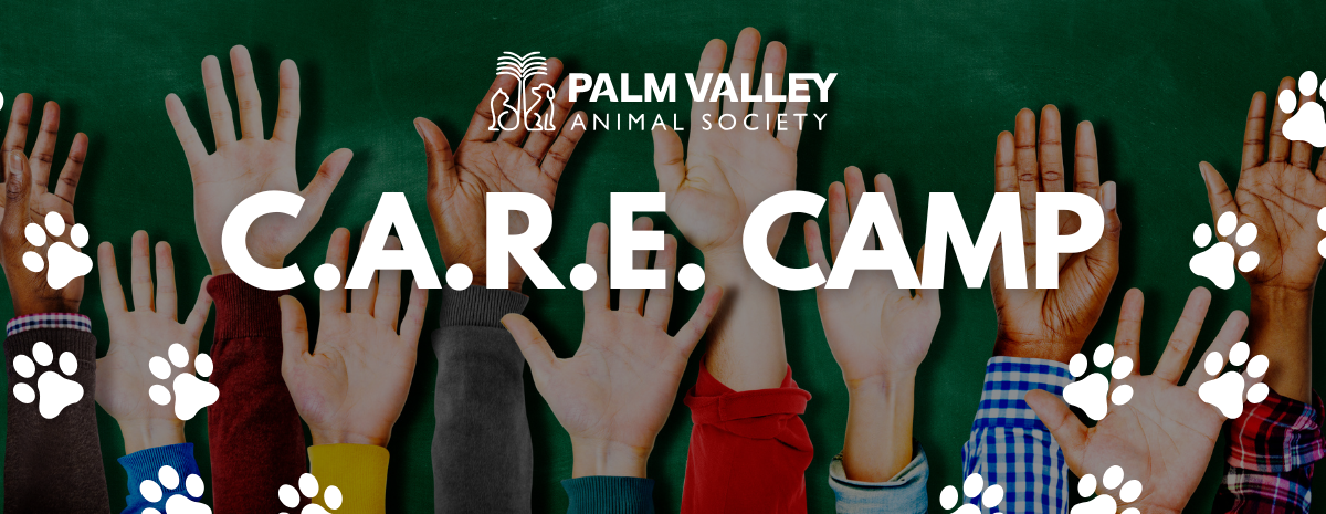 C.A.R.E. Camp